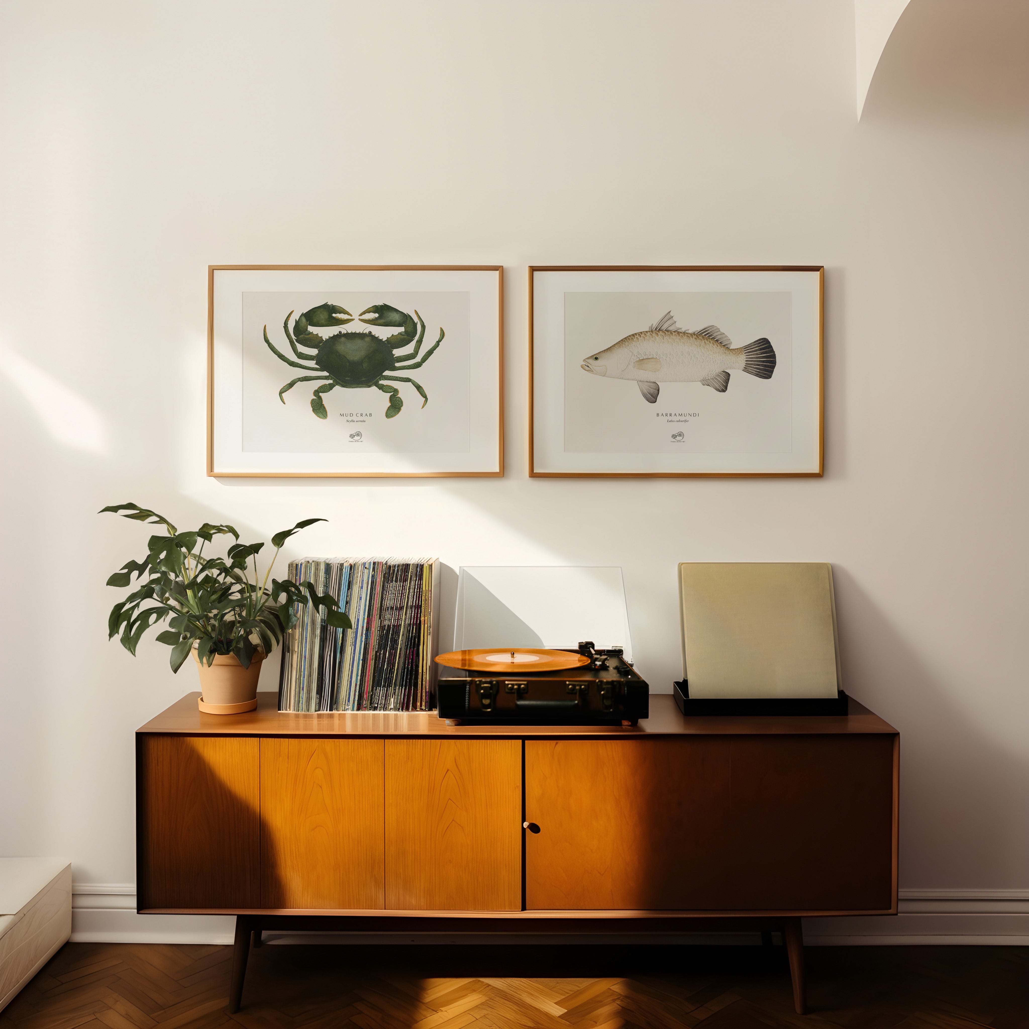 Mud Crab Art Print