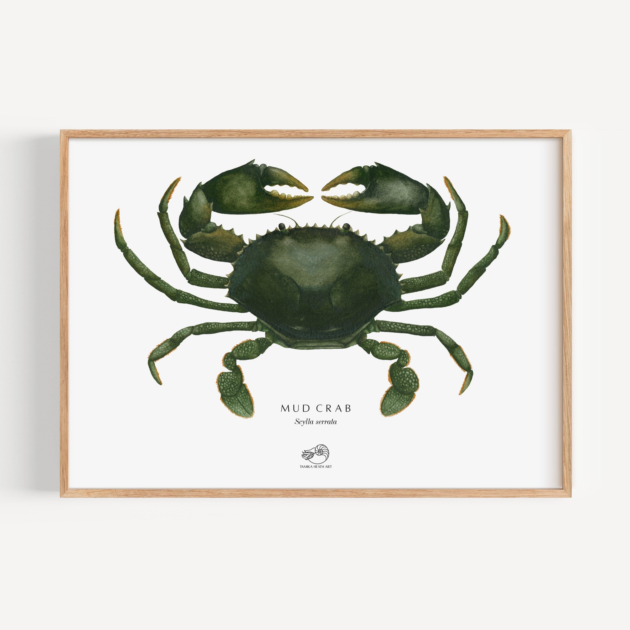 Mud Crab Art Print