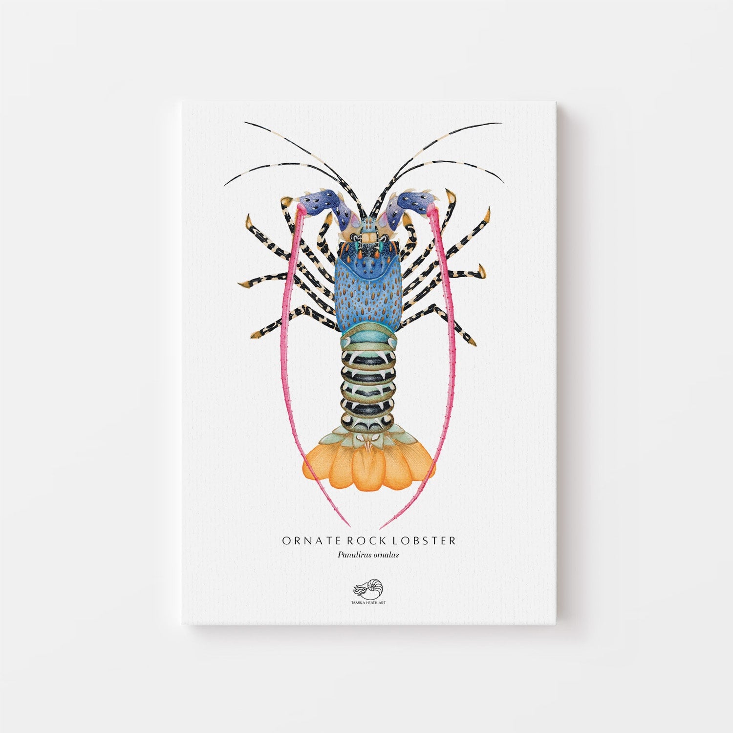 Ornate Rock Lobster Canvas Print