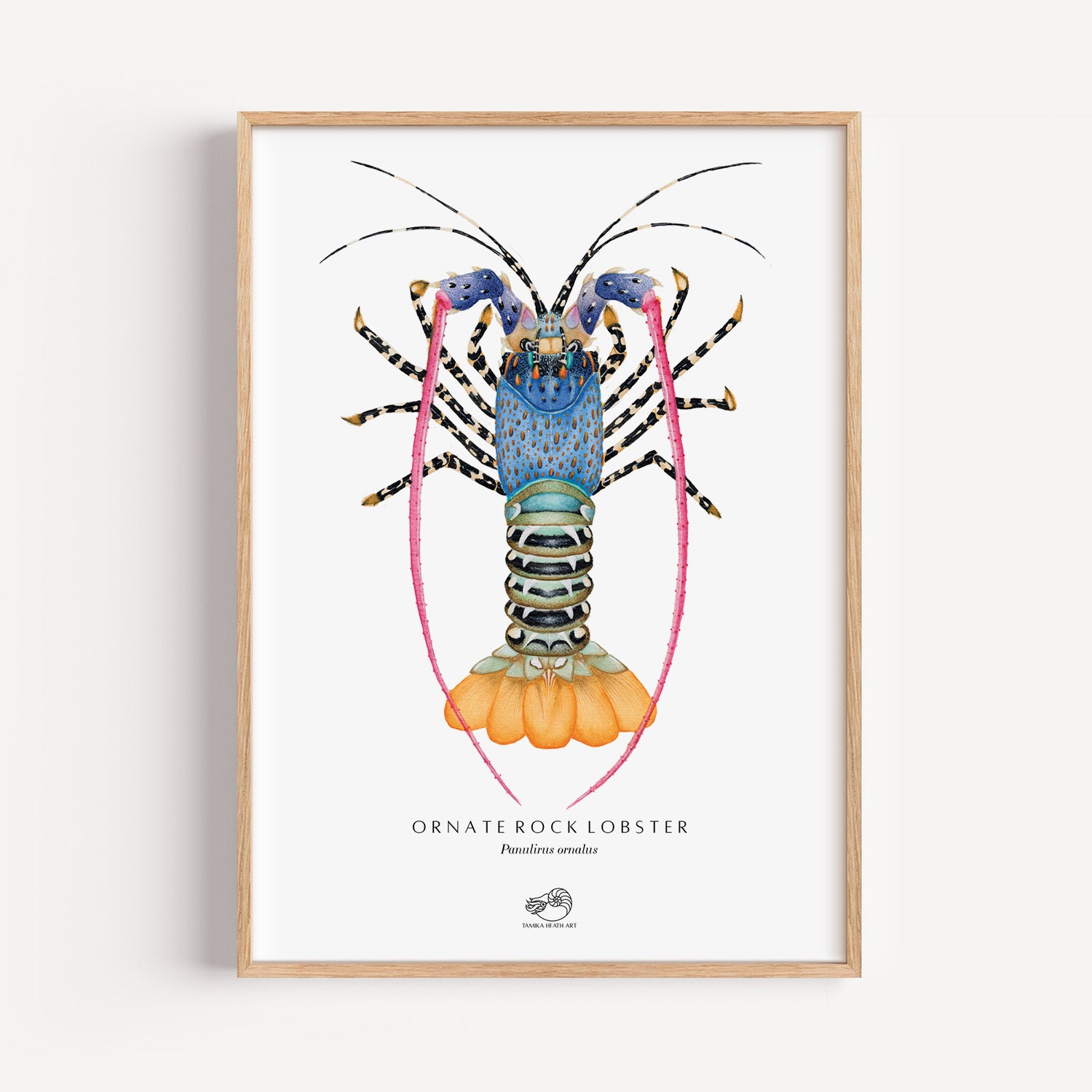 Ornate Rock Lobster Art Print