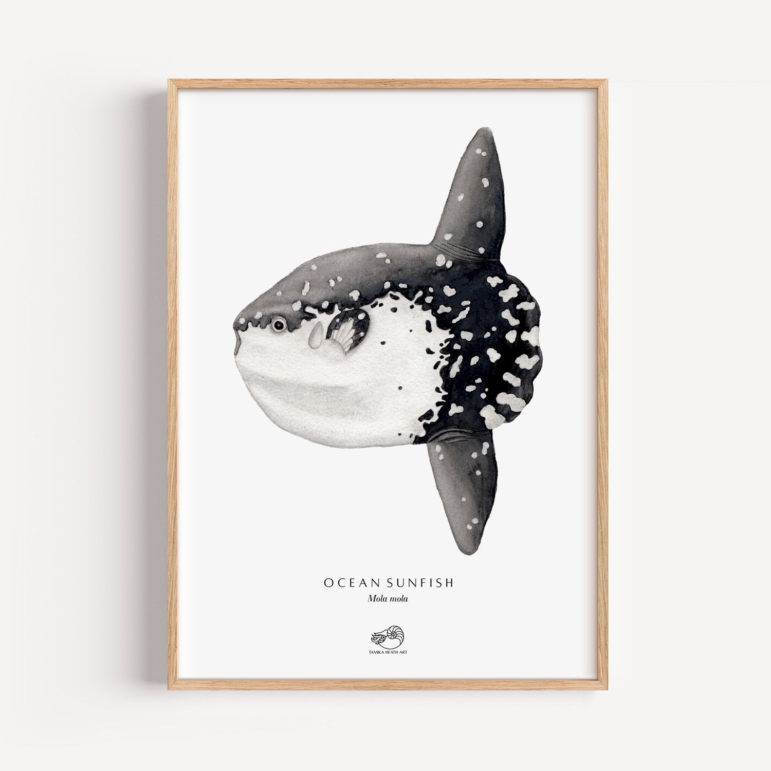 Ocean Sunfish Art Print