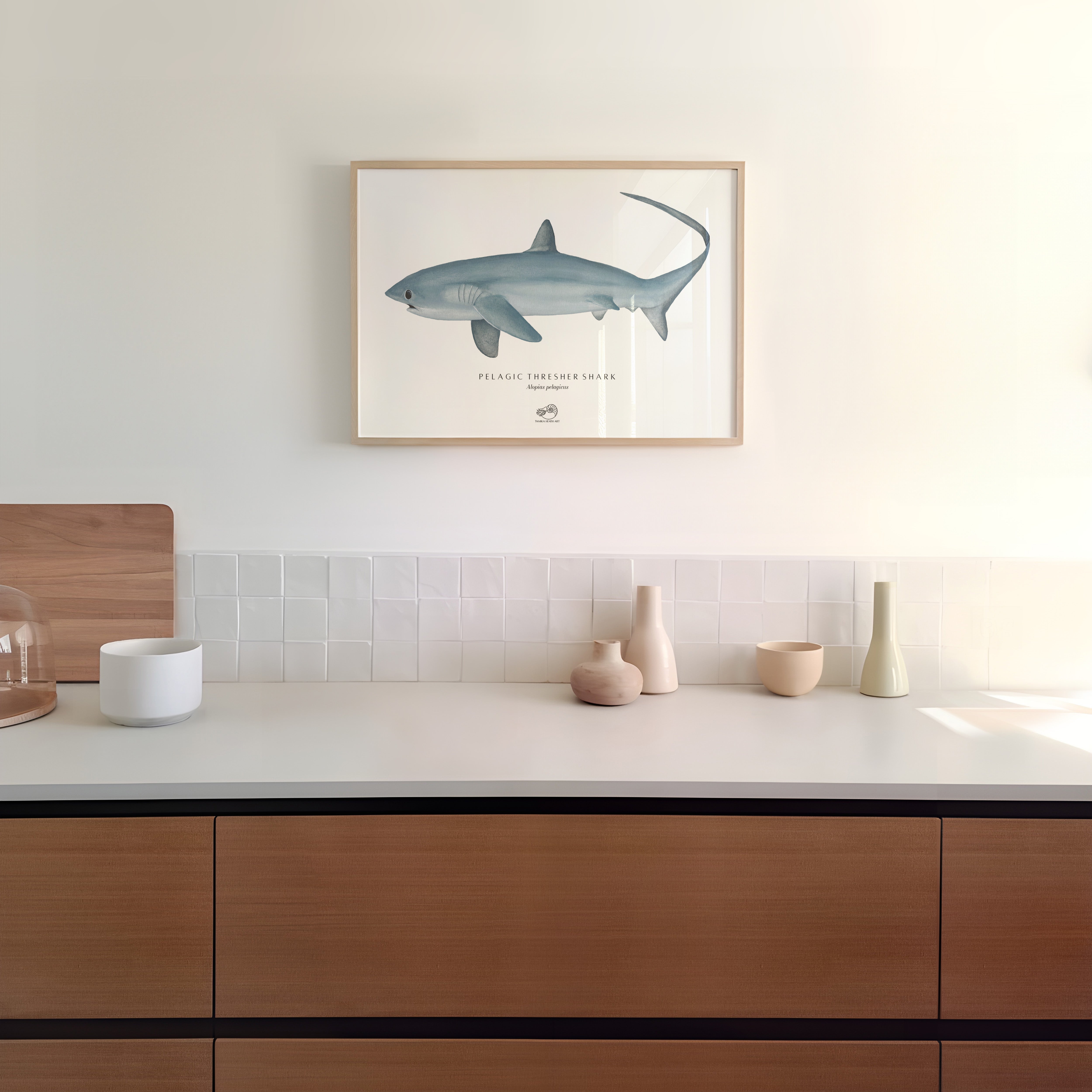 Thresher Shark Art Print