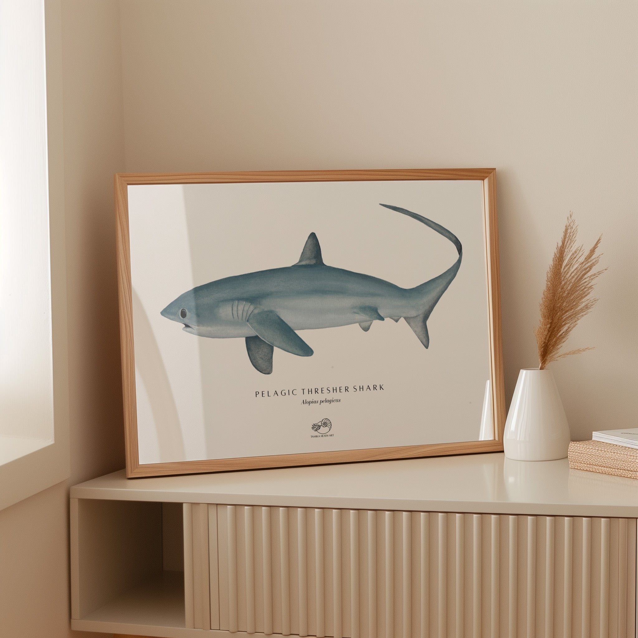 Thresher Shark Art Print