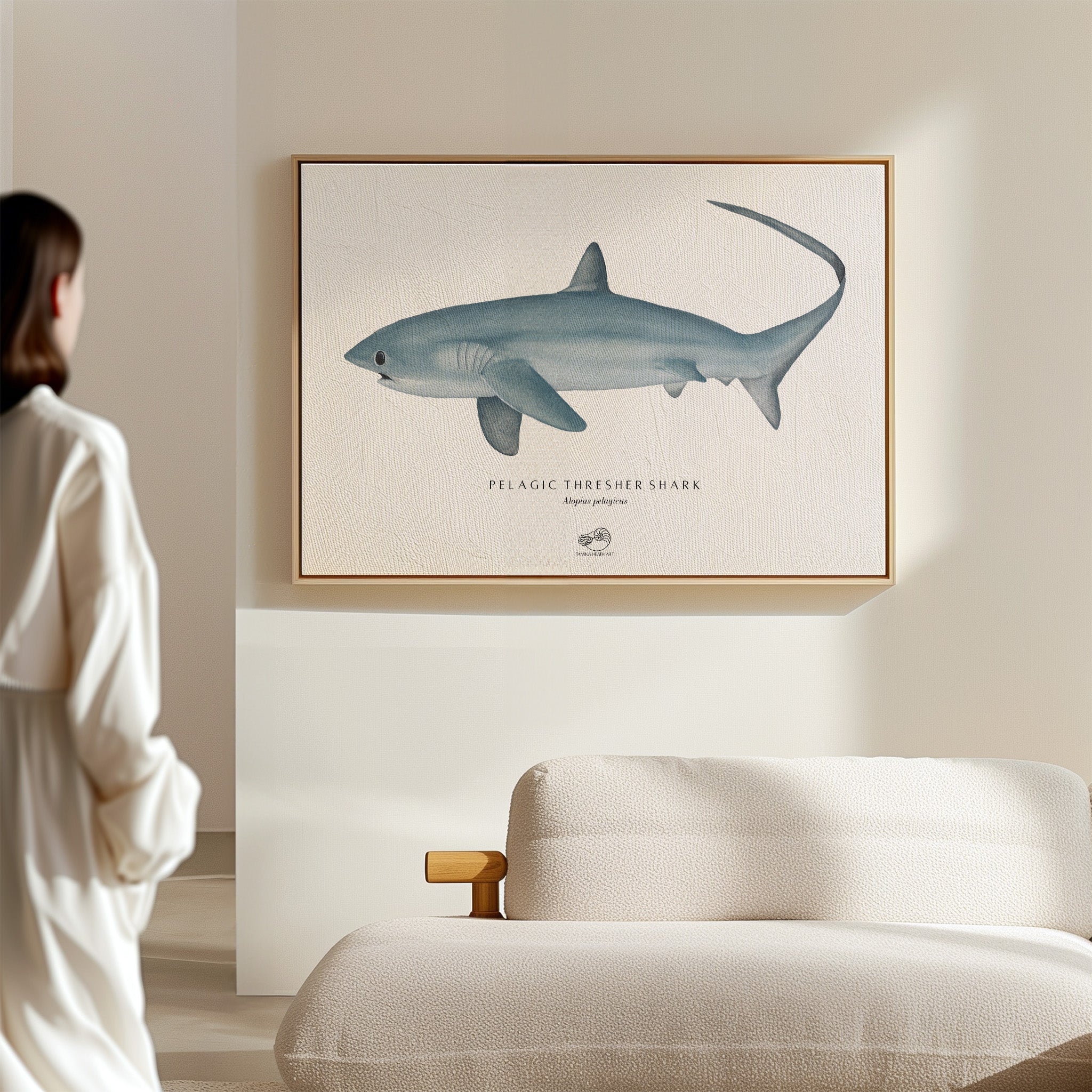 Thresher Shark Canvas Print