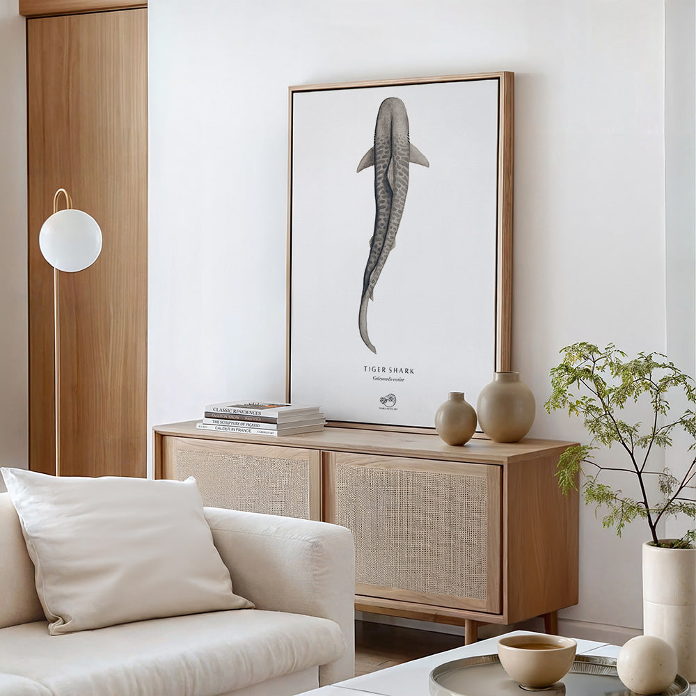 Tiger Shark Canvas Print