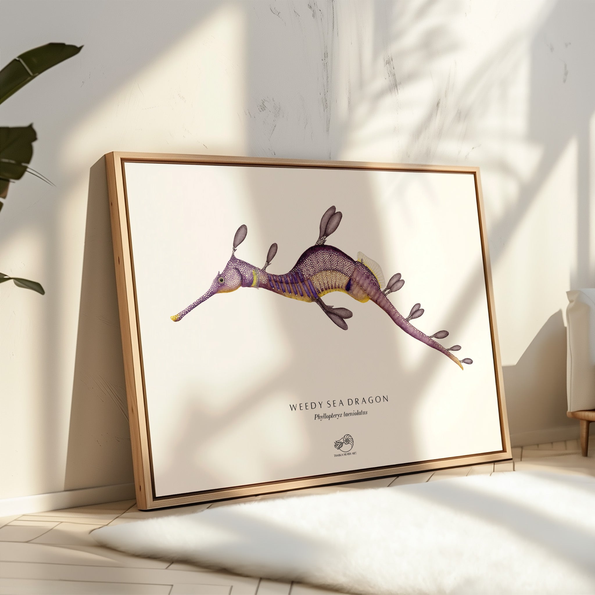 Weedy Sea Dragon Canvas Print