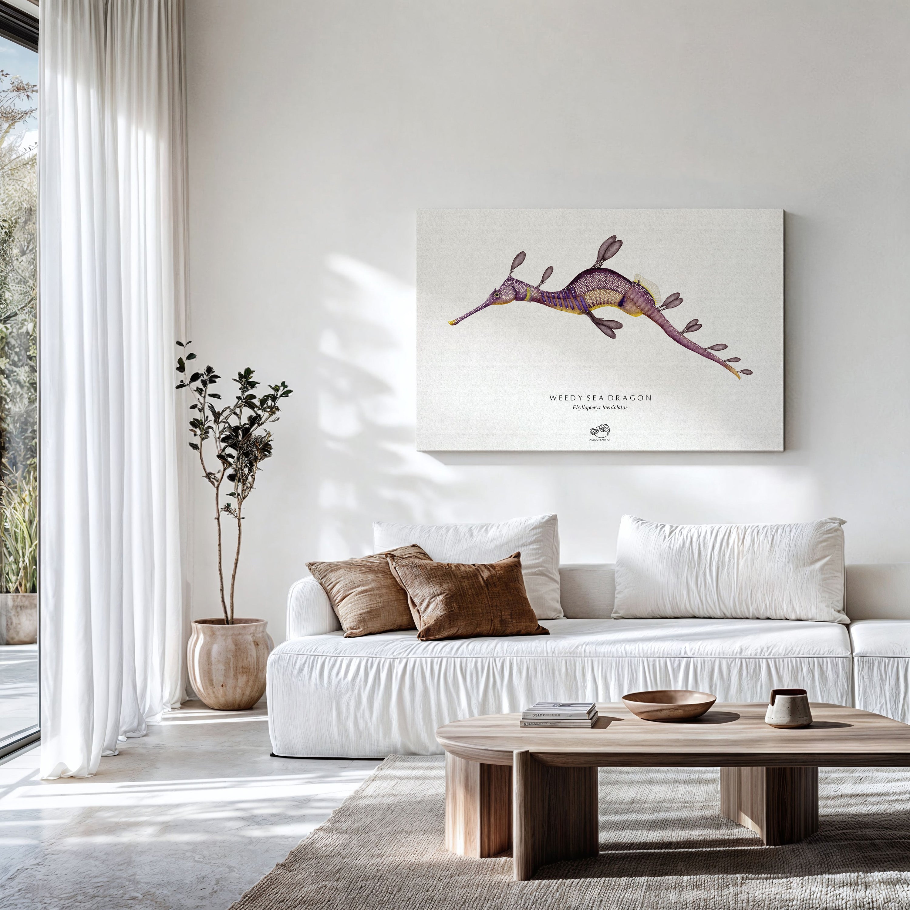 Weedy Sea Dragon Canvas Print