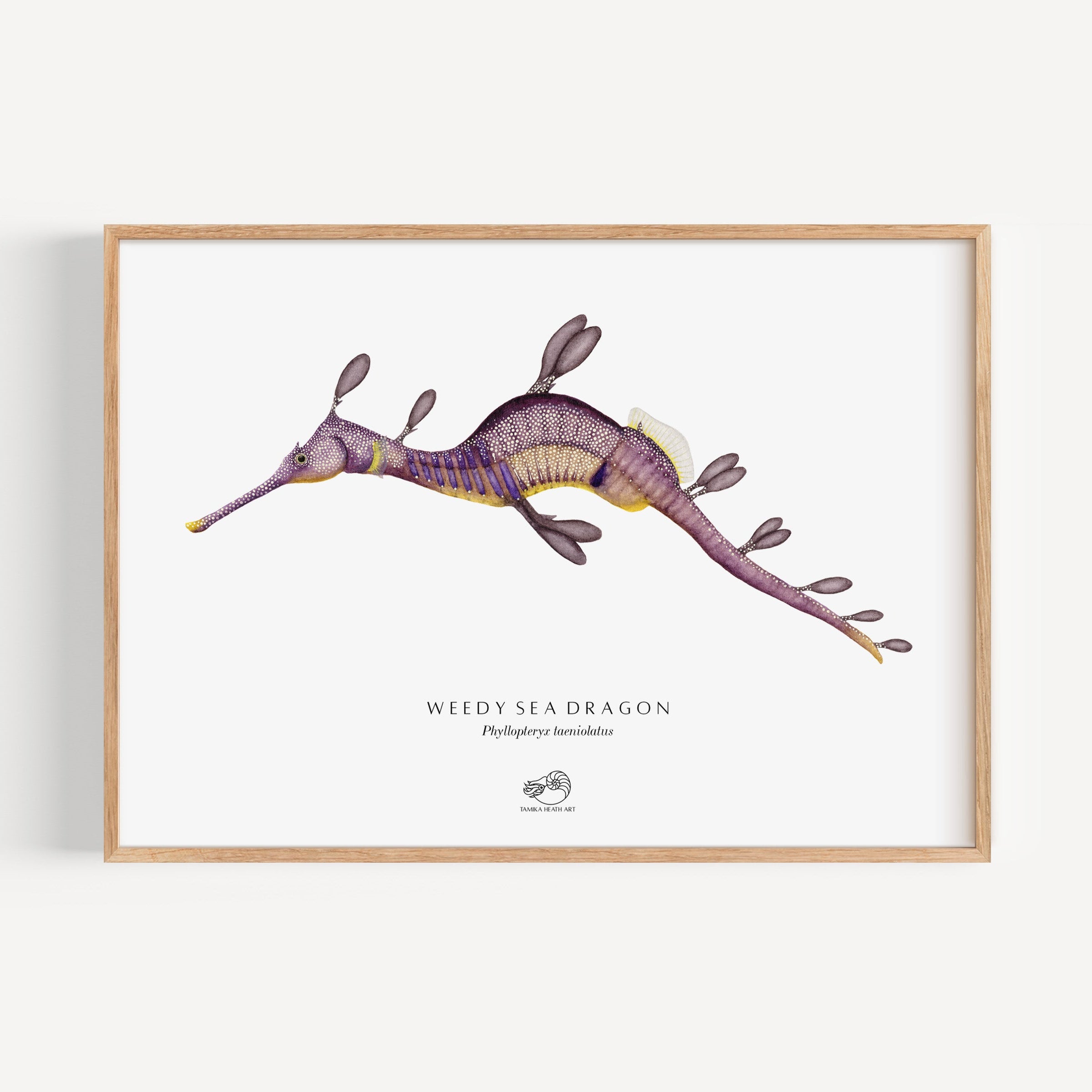 Weedy Sea Dragon Art Print